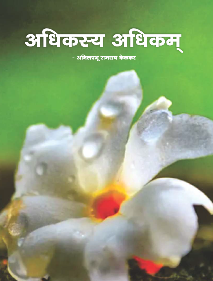 अधिकस्य अधिकम